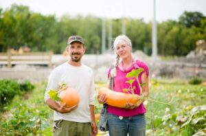 Kenton Lobe and Caroline Chartrand harvest their hand-pollinated squashes. Photo: Contributed