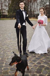 Dogs in weddings are no longer unusual. Just remember that underneath the finery, they're still all dog. Photo: Vitali Smulskyi
