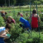 The Sorrento Centre Farm, an education program and working fruit and vegetable farm in B.C., has received grants from the Anglican Foundation of Canada. Photo: George Zorn